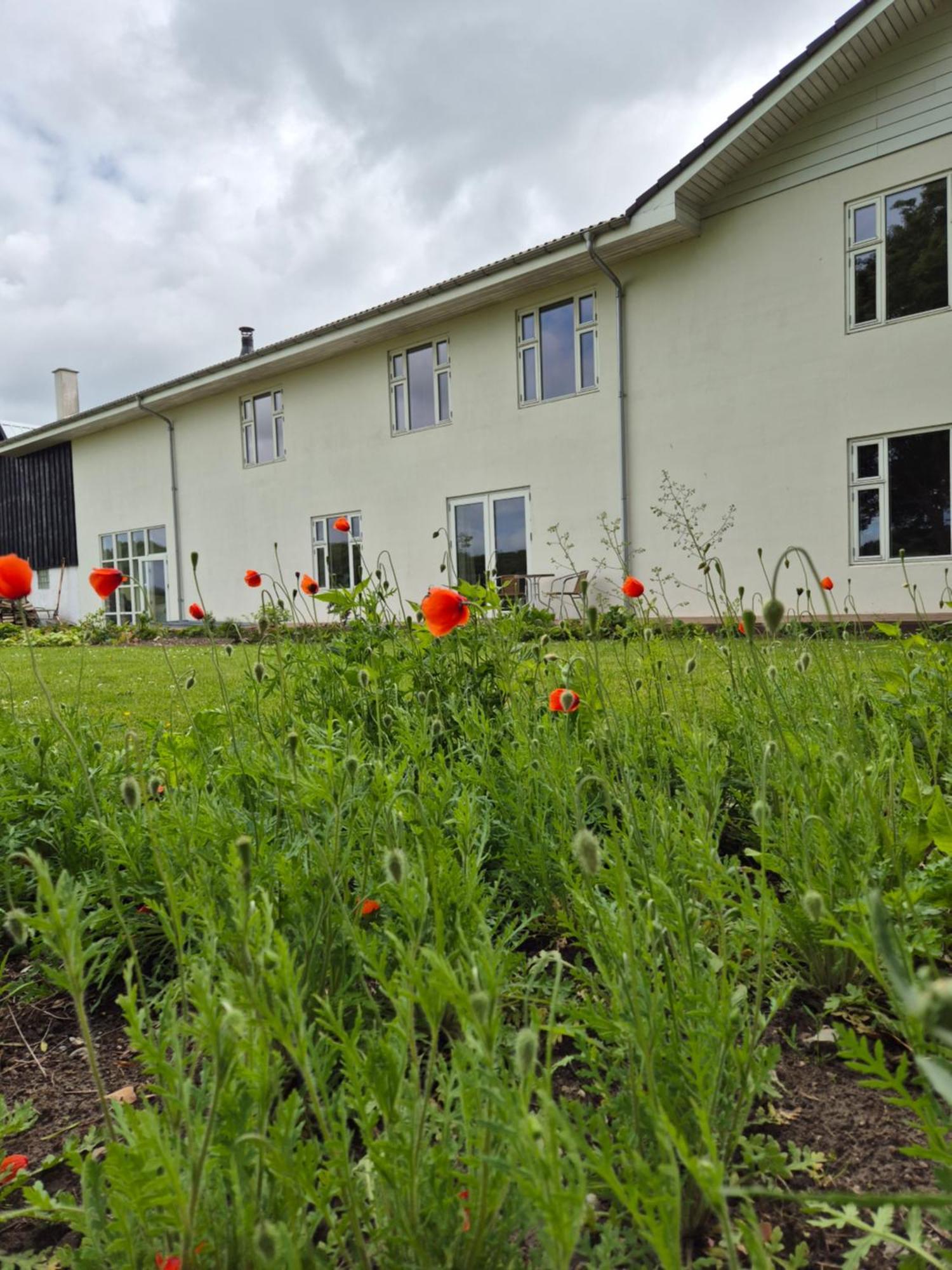 Mols Bed & Breakfast Knebel Экстерьер фото